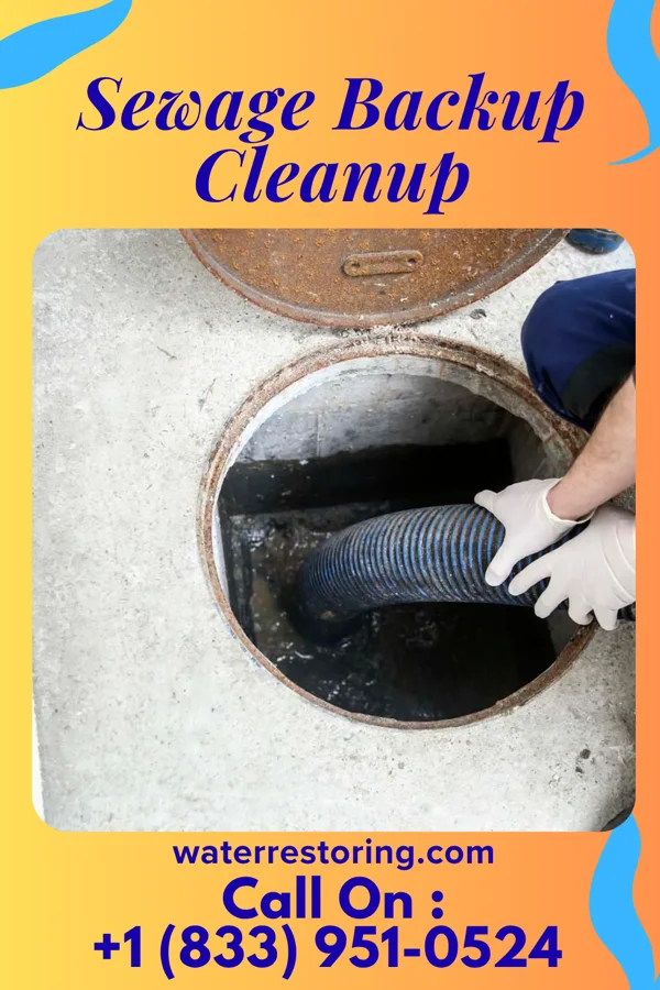 Sewage Backup Cleanup in Lynnville, IA